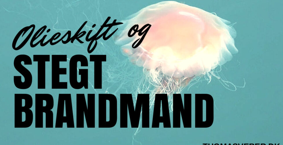 Olieskift