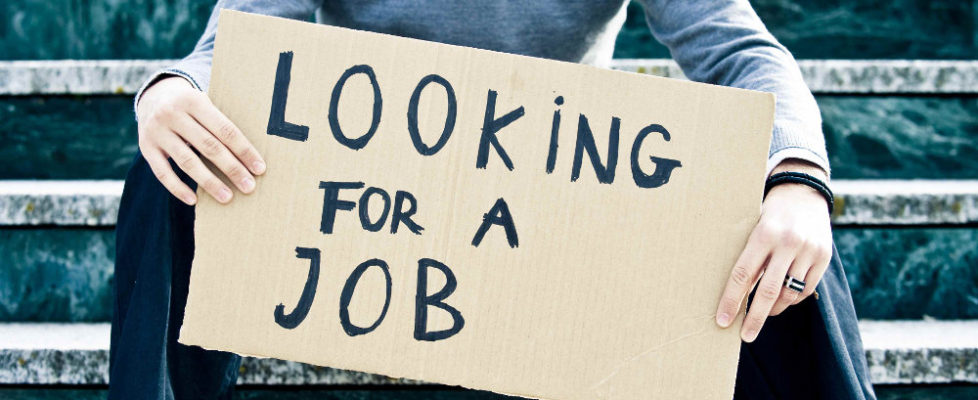 looking for a job