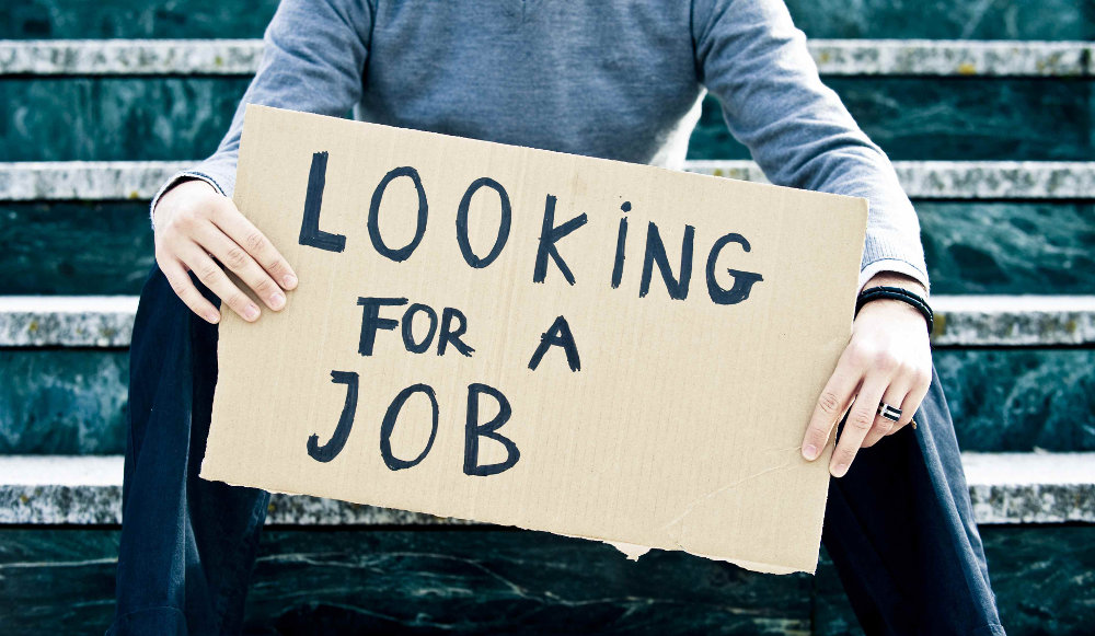 looking for a job