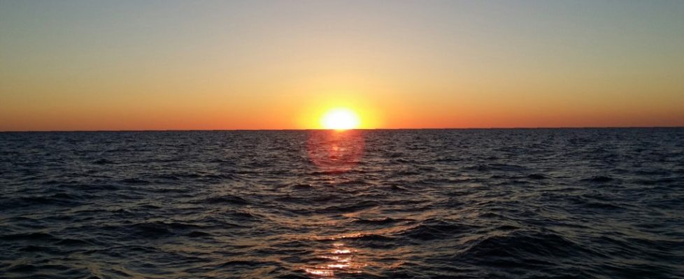 wpid-2016-08-10-12.54.50.jpg.jpeg