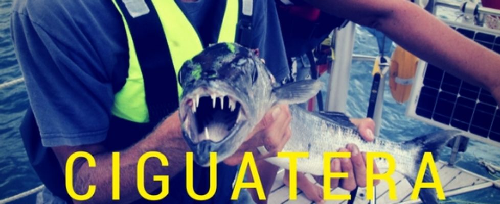 Giftig fisk