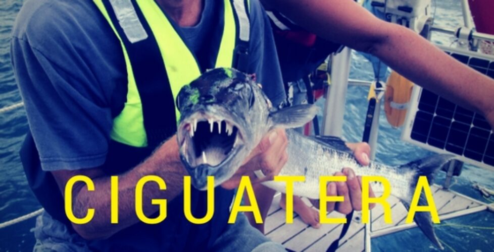Giftig fisk