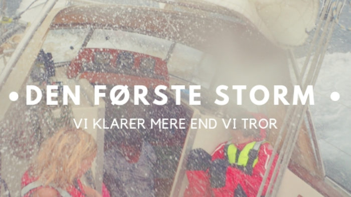 Den første storm