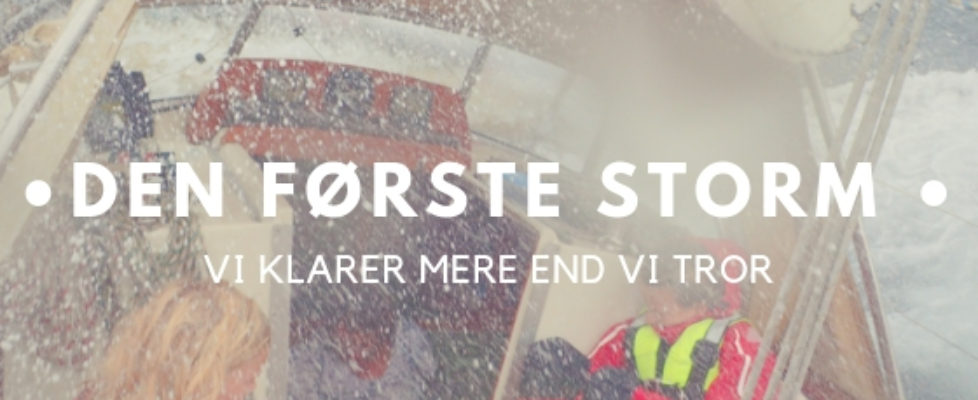 Den første storm