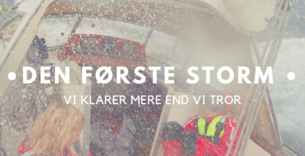Den første storm