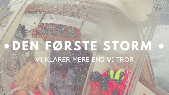 Den første storm