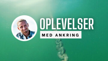 Ankerliv-kursus